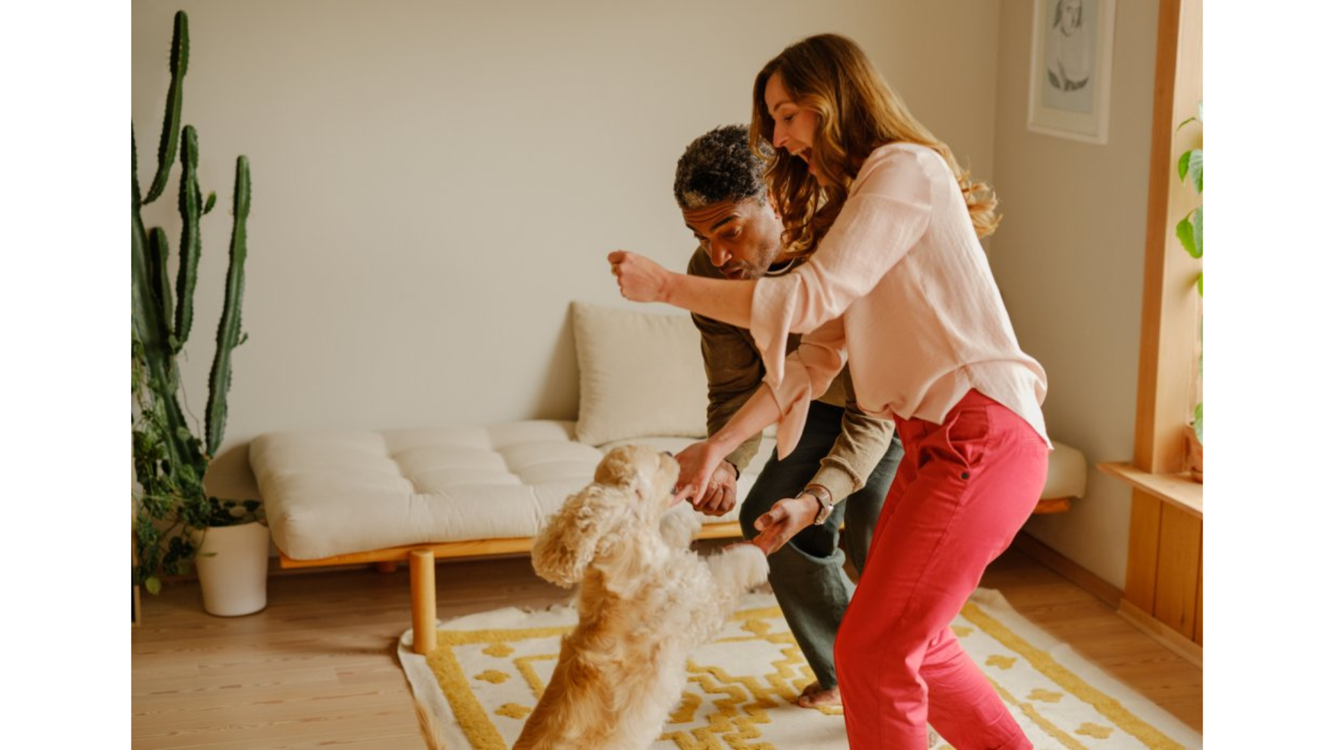 Storebrand i Norge: Lån, sparing, pensjon og forsikring samla på eitt sted